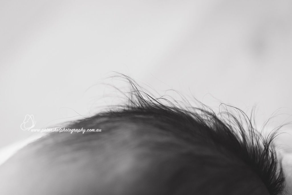macro shot of baby’s hair