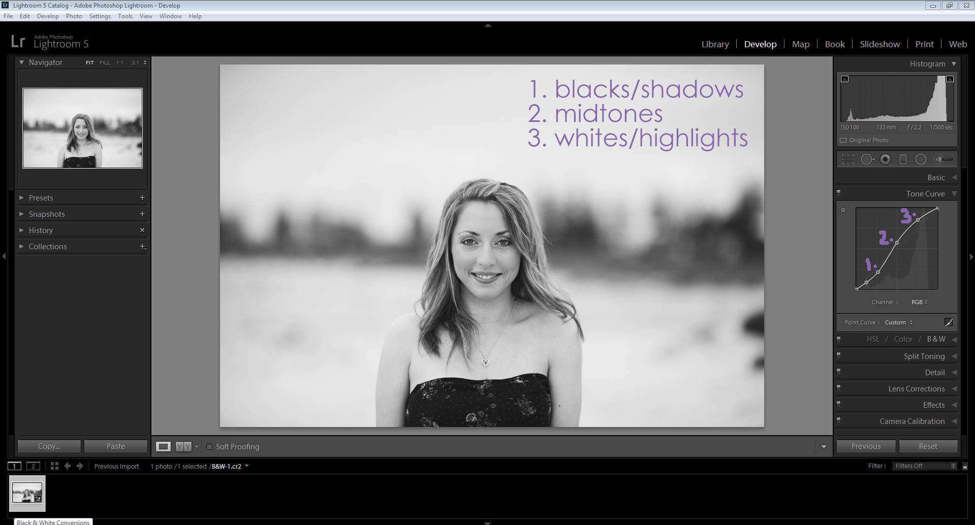 how to make stunning black and white photos in photoshop