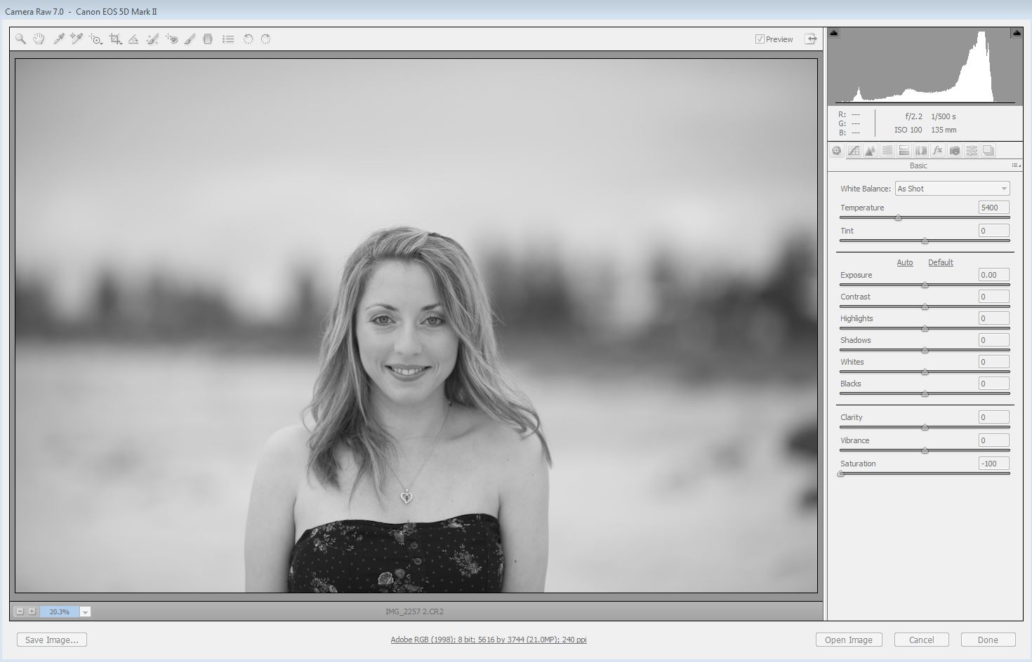 How to convert black & white photoshop edits