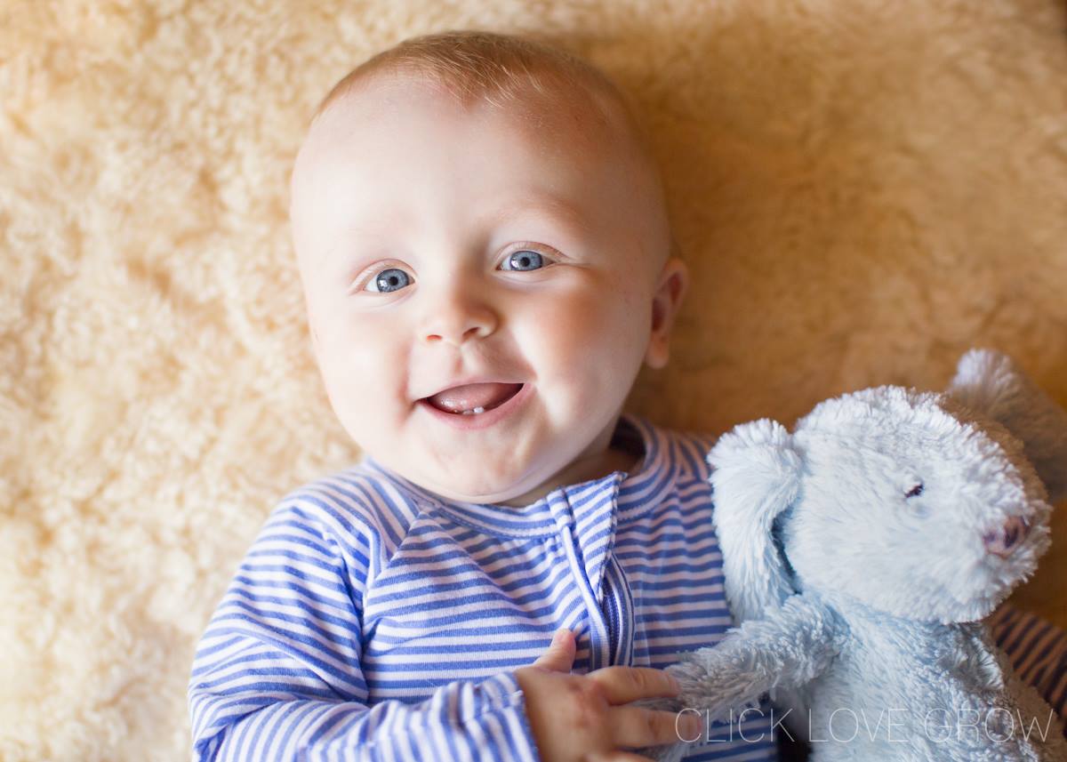 little boy with teddy bear smiling on carpet photography backdrop