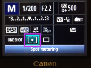meter mode on camera for your dslr