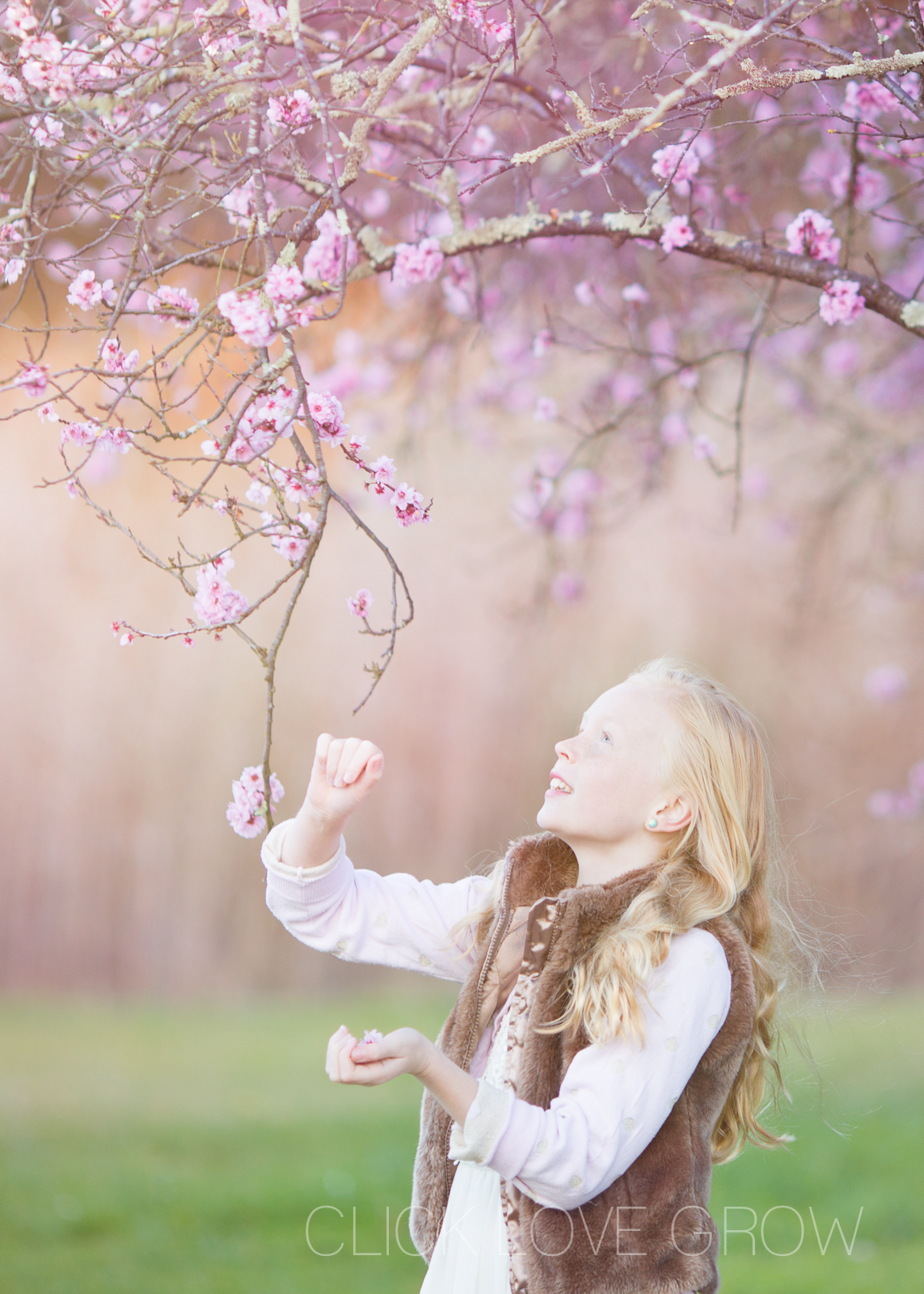 portrait of girl in field of cherry blossoms