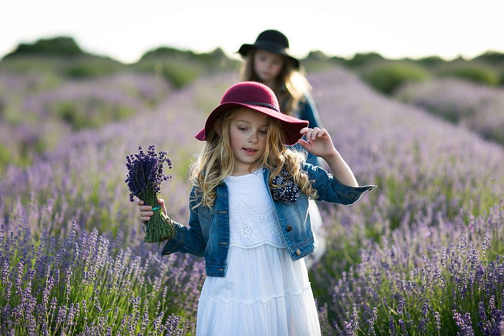 lavendar field photo sessions