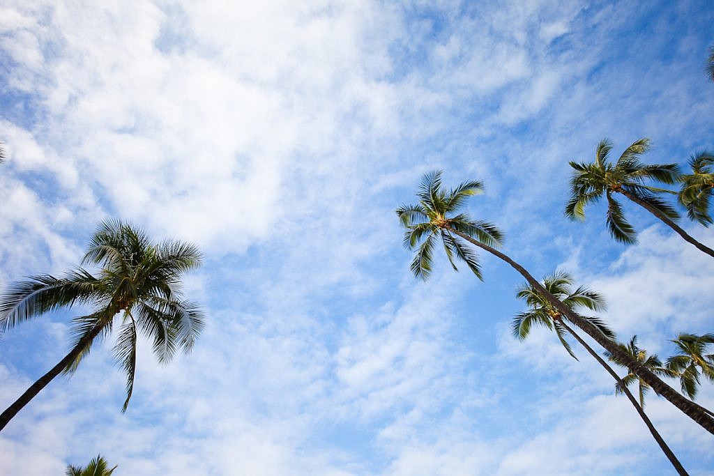 how to use lens distortion for effect