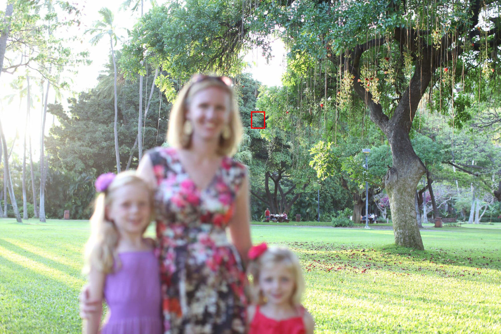 how to fix blurry photos