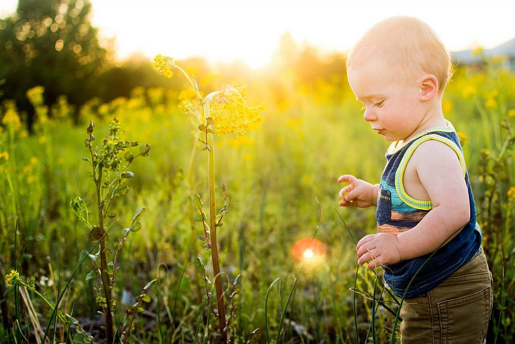 How to use backlighting