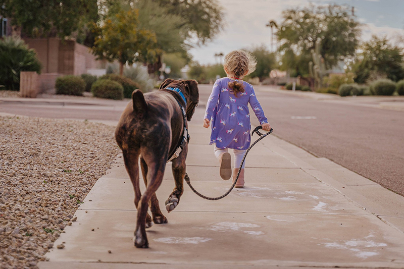 picture of little girl with dog