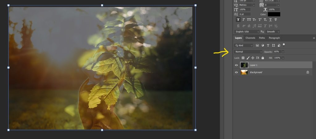editing creative shots in photoshop