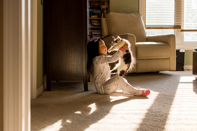 low light photography of little girl playing with a cat