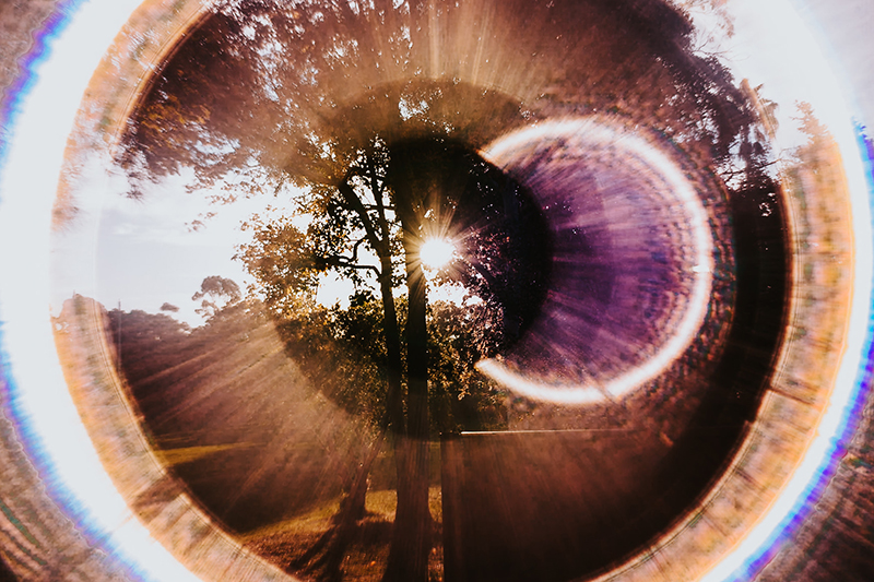 beautiful photography of sunburst through trees