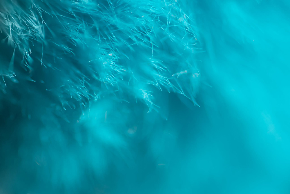 beautiful photography of turquoise fibres