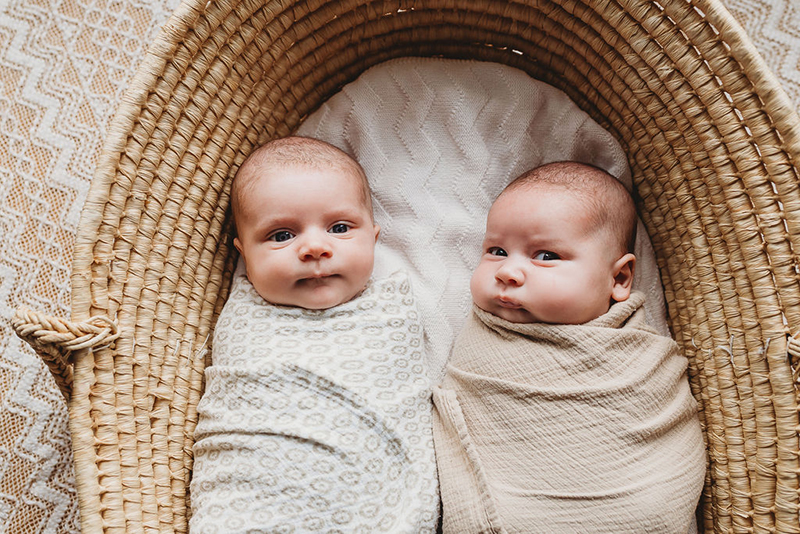 photos of newborn twins in bassinet