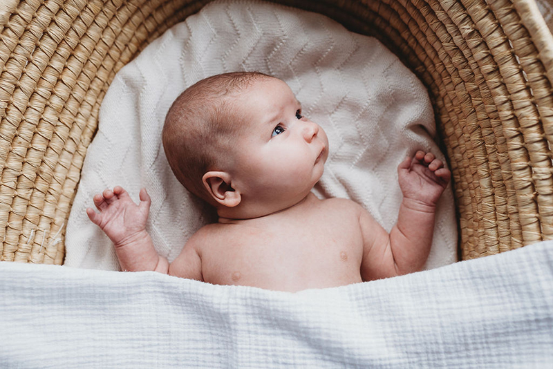 newborn baby in basket looking up