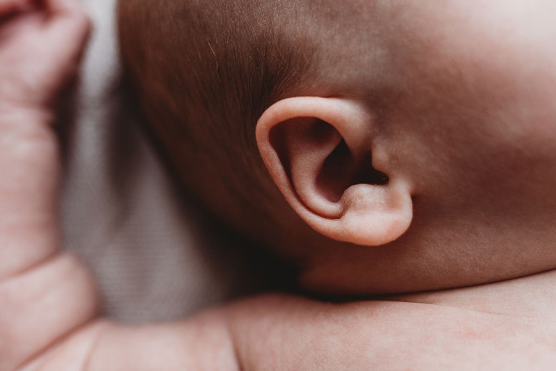  baby ear