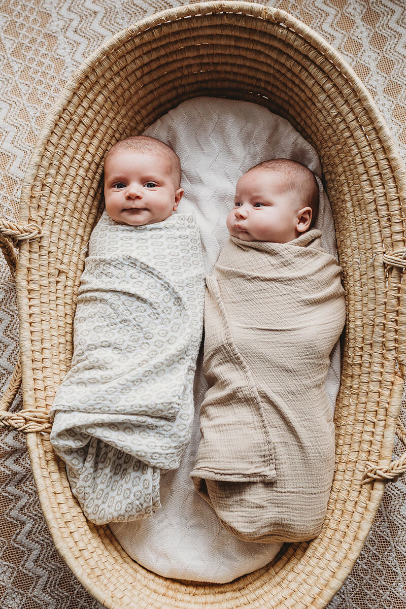 newborn twin babies in moses basket 