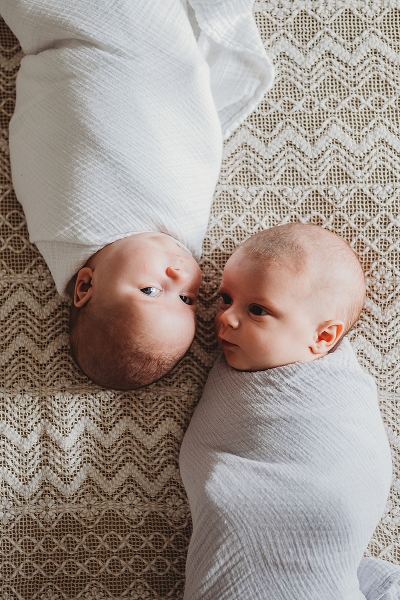  newborn babies wrapped in bed with heads together