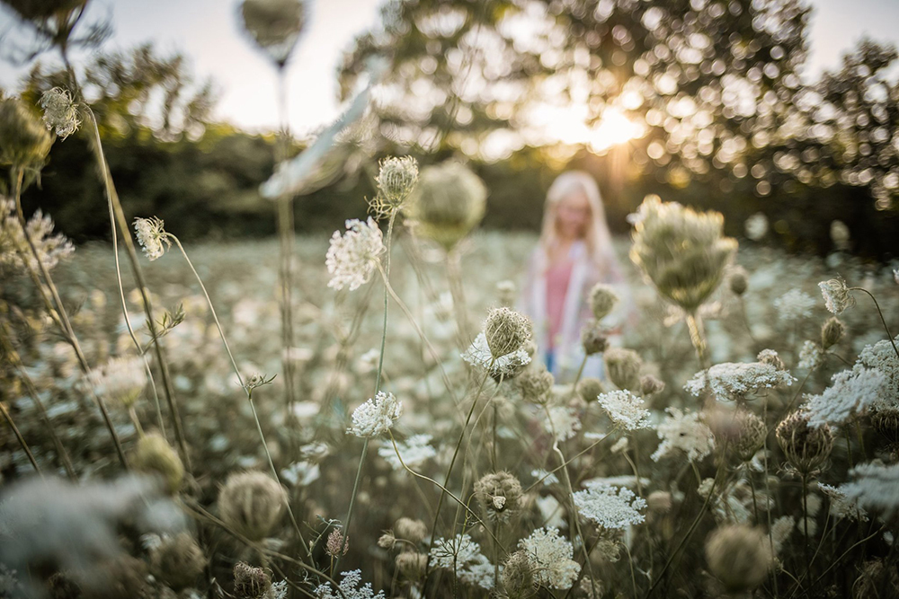 Selective Focus Photography