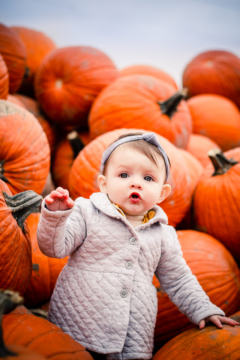 baby girl in a pumpkin field