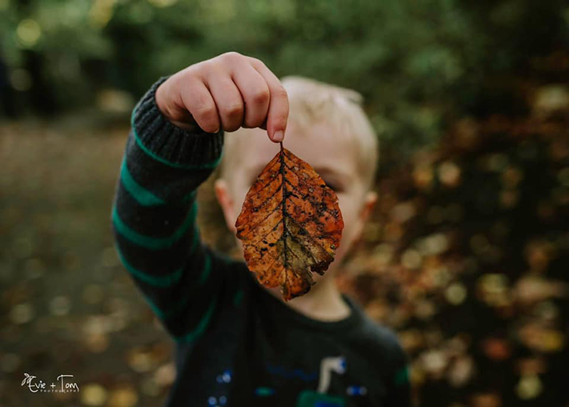 young boy holding a fall leaf in front of his face