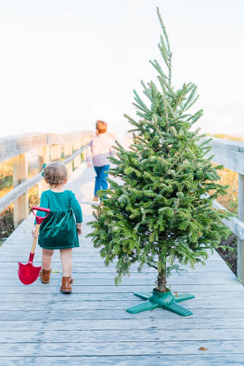 two small chidren on a pier with a christmas tree