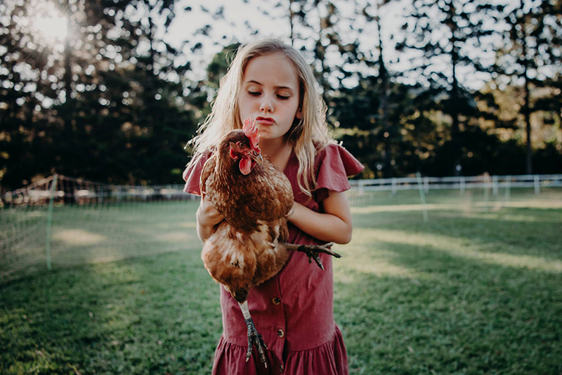 girl in a pink dress holding a chicken