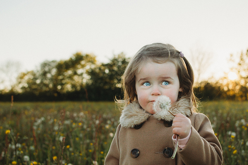 toddler girl in a field of dandelions wearing a coat