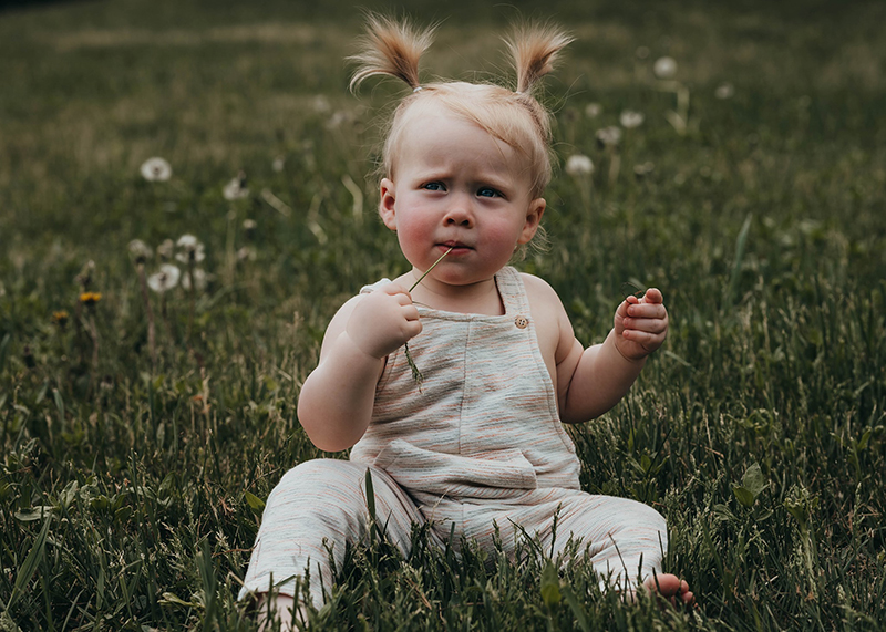 baby girl with pigtails sitting in a field of dandelions