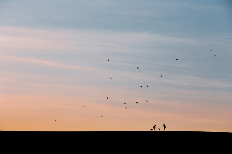 silhouette of couple with dogs against sunset sky