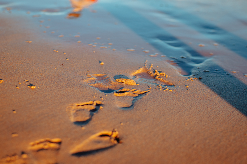 footprints in wet sand