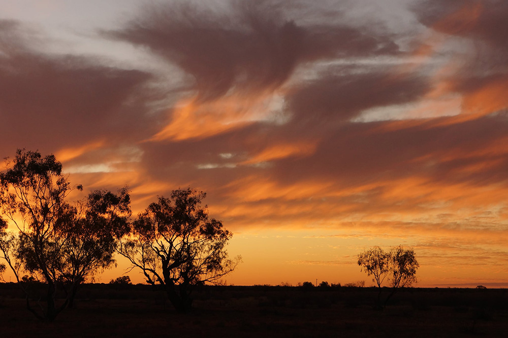 queensland sunset sky with tree silhouette