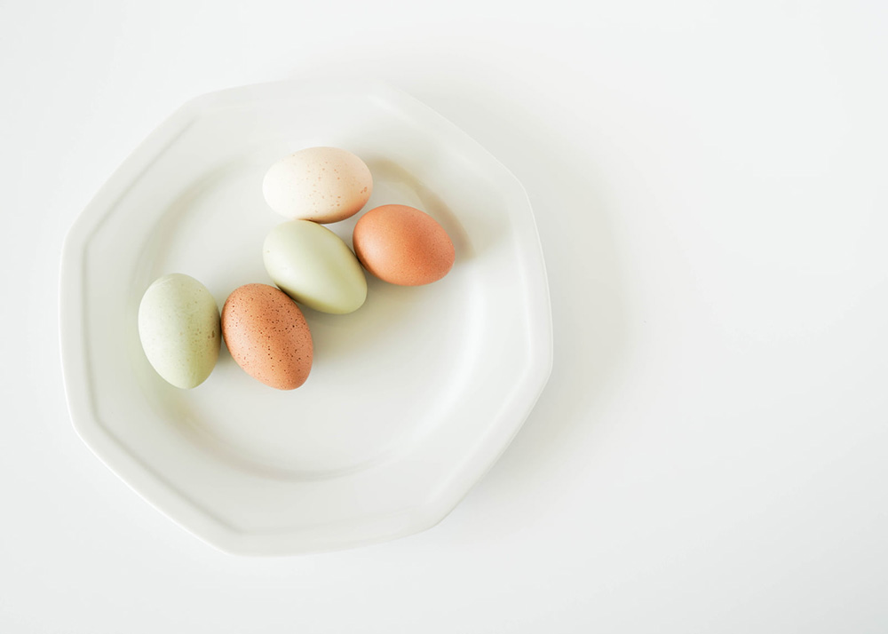 flat lay of eggs on a plate