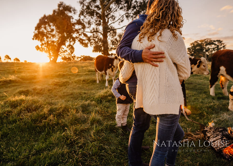 golden hour photo of couple in field with cows and tree