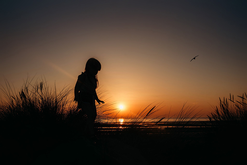 Tree Sunset Silhouette Free Stock Photo - Public Domain Pictures