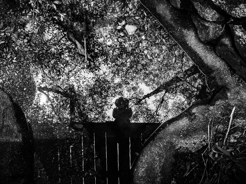 black and white aesthetic picture of woman standing by fence