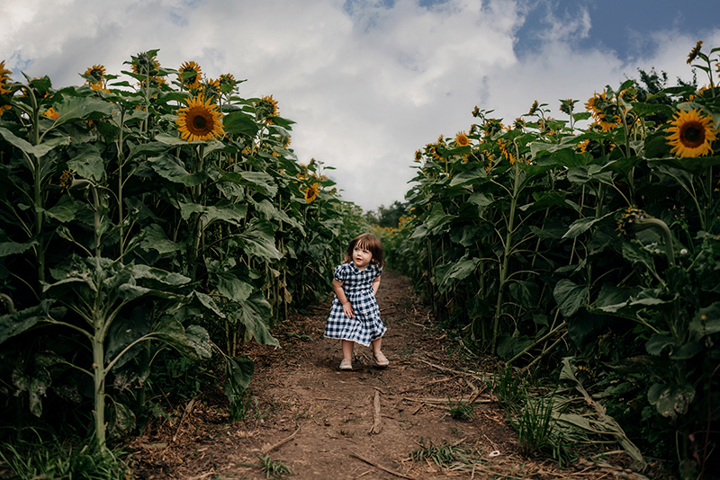 sunflower photography tips for capturing little girl