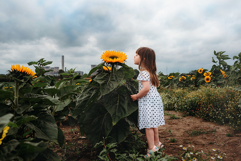 picture of girl in spotted dress in sunflower field