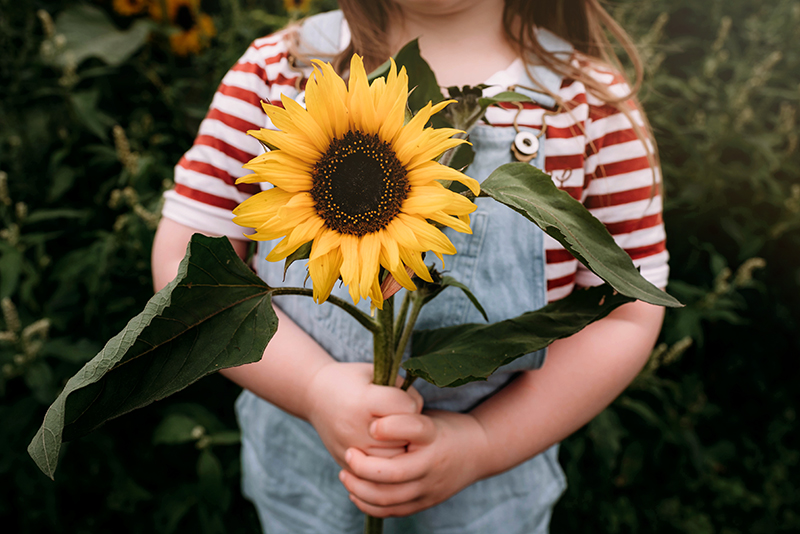 kid holding a beautiful sunflower