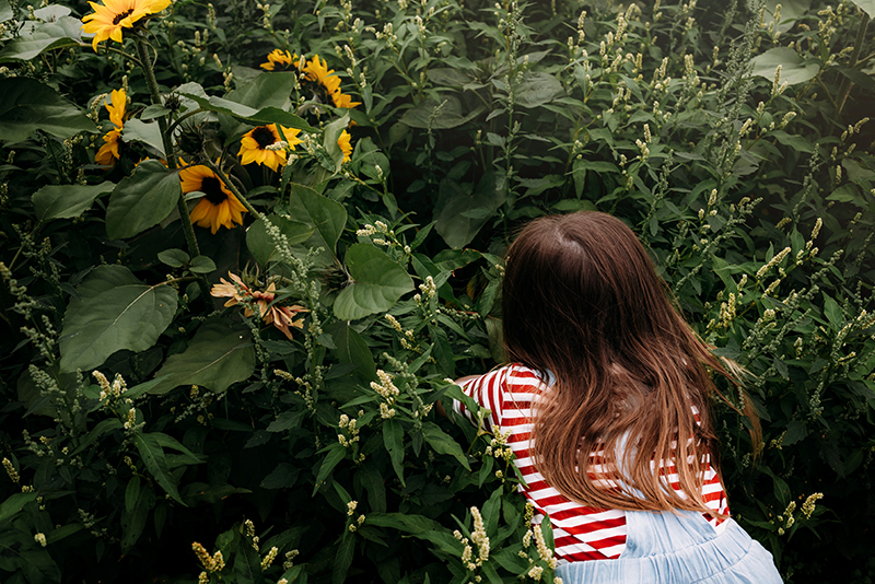sunflower photography portrait of girl in red striped tee