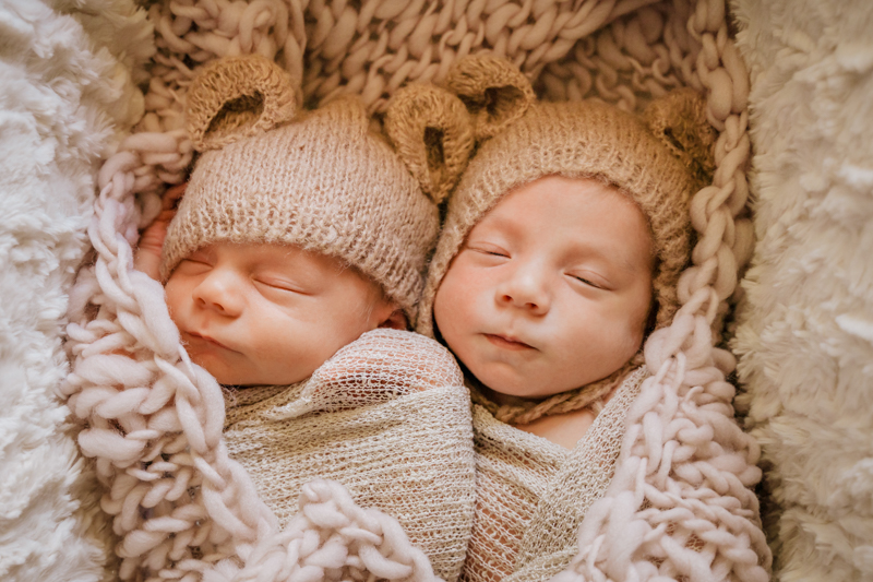 portrait of newborn twins