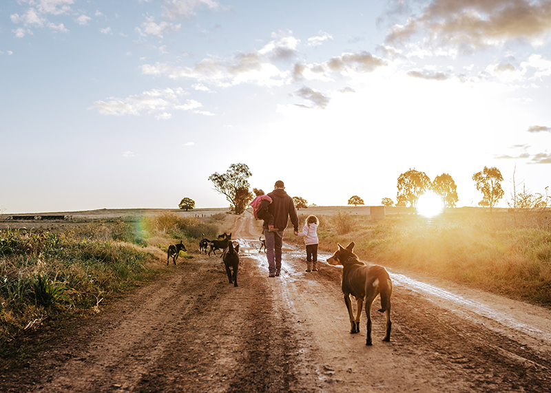 family walking along dirt road with dogs and setting sun