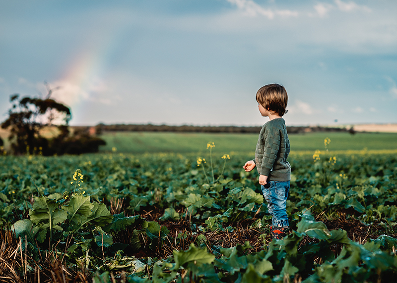 kids photography boy in field rainbow