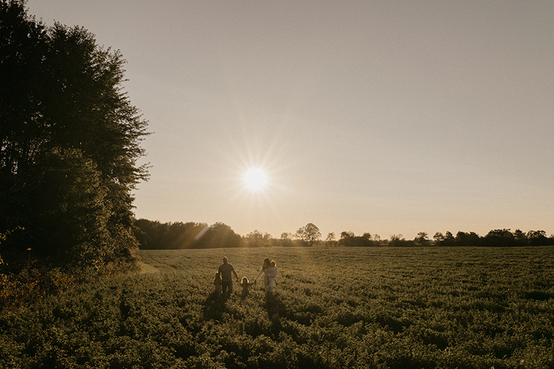 beautiful golden hour family portrait in field