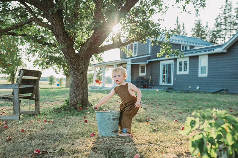 Portrait of toddler boy under apple tree